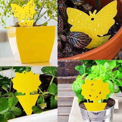 20Pcs Sticky Trap Fruit Fly and Gnat Trap Yellow Sticky Bug