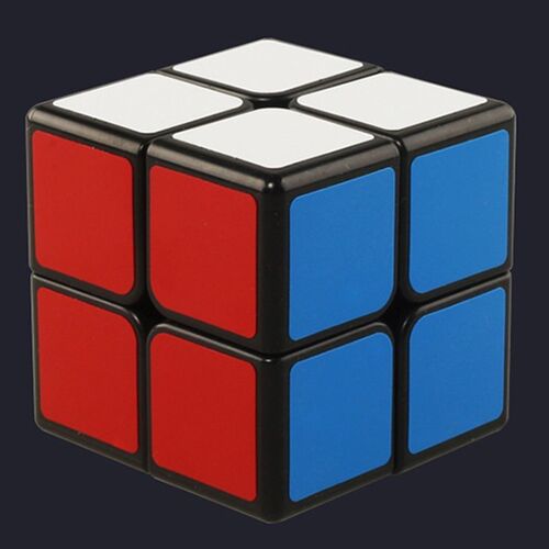 ShengShou SengSo Legend  2x2x2 Magic Cube 2x2 Cubo Magico Pr