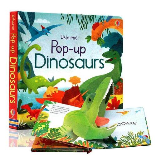 Usborne Pop Up 3D Flap Picture English Books for Kids Fairy