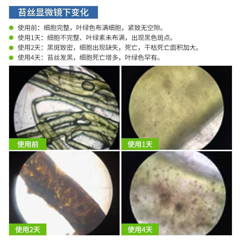 处理青苔水产养殖千亿芽孢抑制青苔蓝藻调水净水不伤水草小龙虾蟹,畜牧/养殖物资,水质调节剂,淘宝优惠券,粉丝福利购,淘宝优惠卷