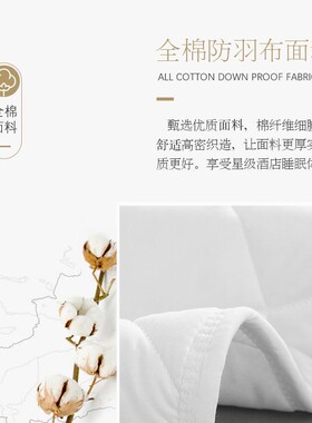 舒适垫床褥护IET垫床垫羽丝绒棉床垫被厚单双人床酒店护民加宿保