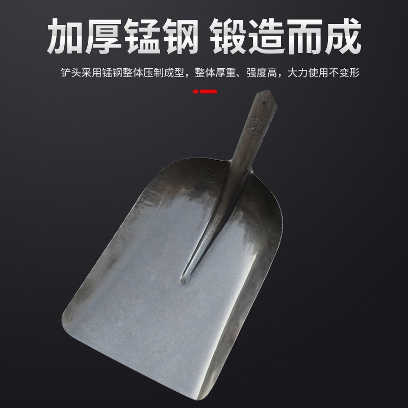 大铁锹大号T型柄平头清粪铲方头煤锹碳钢加大厚板锹加宽钢锹铁锨,农机/农具/农膜,锹,淘宝优惠券,粉丝福利购,淘宝优惠卷