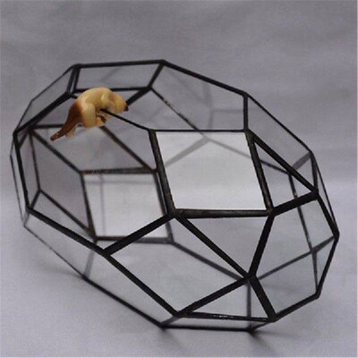 Handmade Glass Terrarium / Modern Planter for Indoor