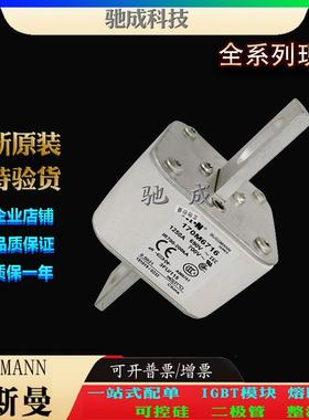 巴斯曼170M6711 170M6712 170M6713 厂家直供零售 特种保险丝