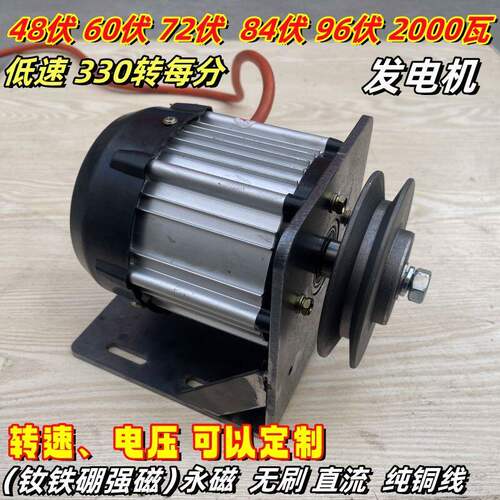 低速12V248伏60伏79瓦W直