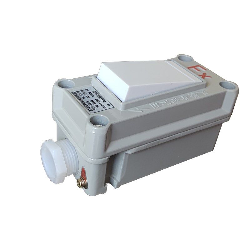 华荣防爆墙壁开关熔断路器8型明装单开控10厂房车间防水,电子/电工,其它,淘宝优惠券,粉丝福利购,淘宝优惠卷