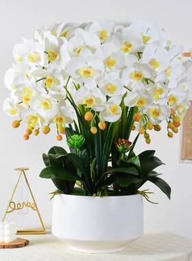 高蝴档蝶兰仿真假花卉花艺客厅电视柜餐桌面摆插装花盆PZX景饰件