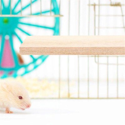 Hamster Jumping Platform Climbing Board Parrot Wooden Pet