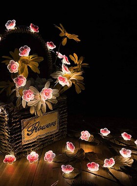 3M 30LEDS Cherry Bloom Fairy String Light Pink Flower String