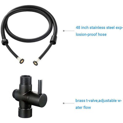 Toilet lance black stainless steel set head马桶喷枪1