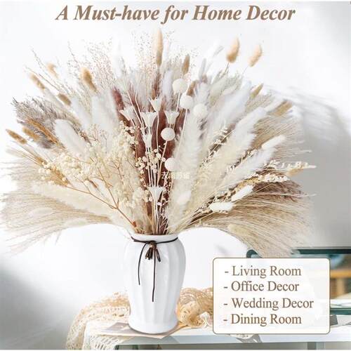 Pampas Grass Small Reed Dried Flowers Rabbit Tail Grass Smal