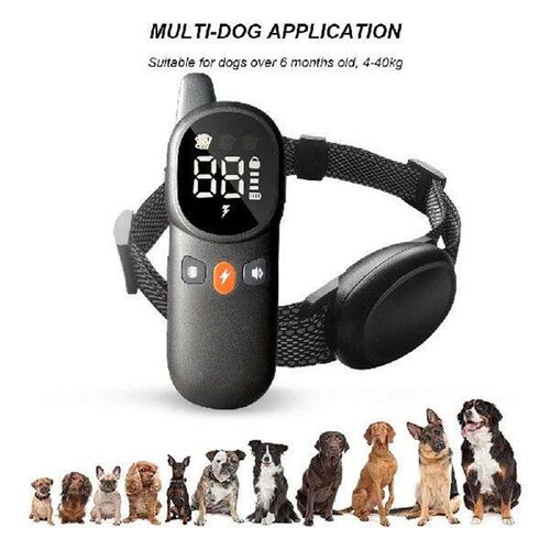 Electric Dog Training Collar Rechargeable Dog Training Anti