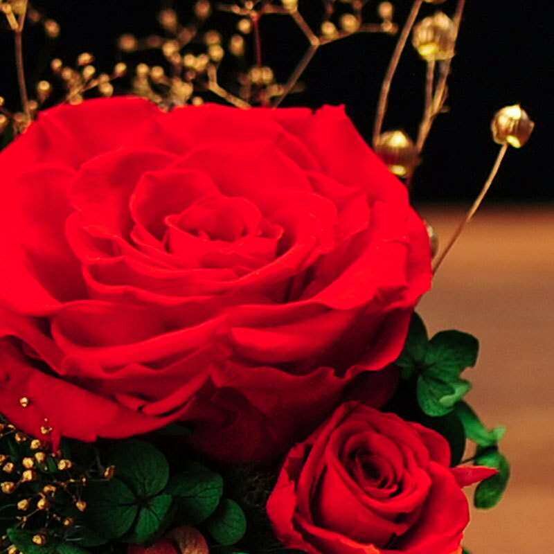 Eternal Flower Glass Cover Gift Box Dried Flower Rose Valent