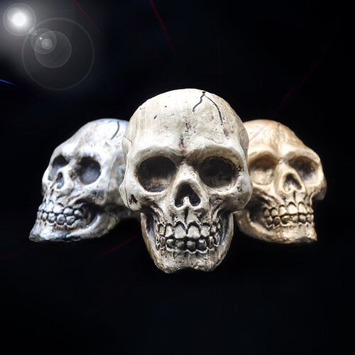 Halloween Skull Decoration High Quality Plastic Skull Model