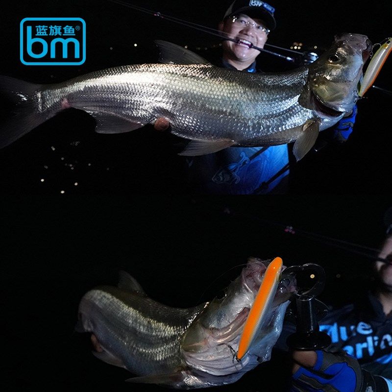 新款蓝旗鱼翻肚鱼远投浮水铅笔全泳层淡海水翘嘴鲈鱼专攻路亚假饵,户外/登山/野营/旅行用品,路亚饵,淘宝优惠券,粉丝福利购,淘宝优惠卷