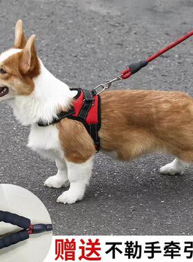 2019Dog leash medium large dogs walking harness collar chain