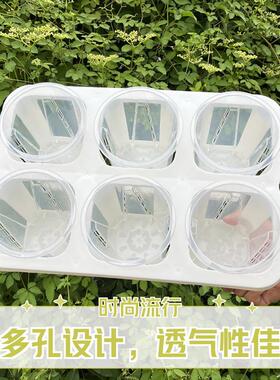 3寸花盆六格托架白色高透观根盆组合托架热植月季海棠水苔花盆