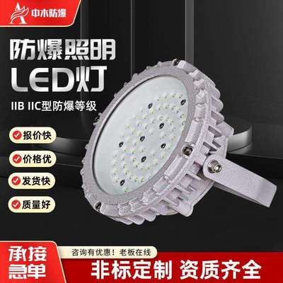 防爆灯20w30w40w50w60w70w加油站厂房车间LED防爆照明灯