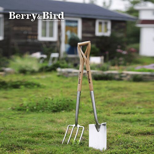 Berry&Bird铁锹松土四齿叉不锈钢大铲子挖土翻地庭院花园艺BB工具