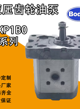 博顿BKP1B0D2.7T0L3/0.8/1.3/1.1/1.6/1.8/2.1/3.2/4.2T0L3齿轮泵