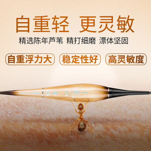 小凤仙鱼漂芦苇夜光漂日夜两用硬尾行程漂黑坑高灵敏鲫鱼鲤鱼浮漂