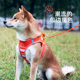 遛狗牵引绳背心式 中小型犬狗绳宠物猫咪防挣脱绳子狗狗胸背牵狗绳