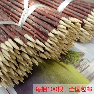 野生红柳签子cm100根烤肉烧烤红柳枝羊肉串签子新疆正宗红柳木