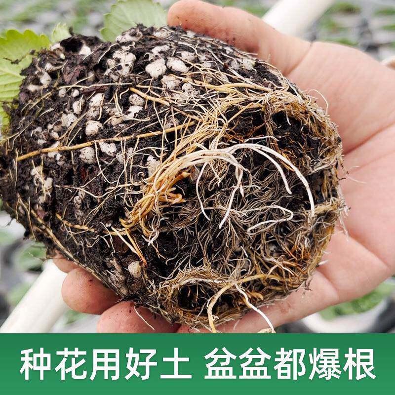 型通用营养土种种菜土花土种花养花肉23植土壤多绿萝种植种植土