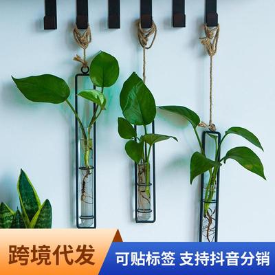 创意铁艺玻璃花瓶麻绳挂件客厅墙上壁挂水培绿萝植物容器悬挂壁饰