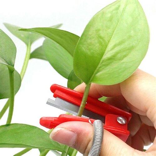 Vegetable Thump Knife Vegetable Fruits Finger Knife