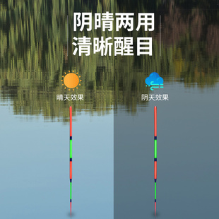 池海狂钓手纳米红绿尾灵敏纳米轻口鲫鱼浮漂阴天晴天野钓鲤鱼漂