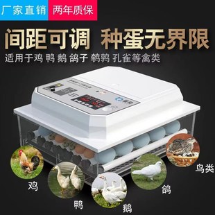 全自动孵化机家用小型小鸡孵化器鸭鹅鸽子鹌鹑孵蛋器孵小鸡的机器