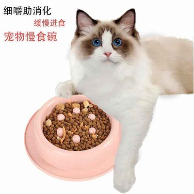 Pet slow food bowl anti-choking bowl thickened cat bowl dog