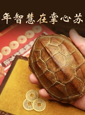 天然精品真乌金龟壳真龟甲文玩六爻铜钱易经卦摇卦手把件