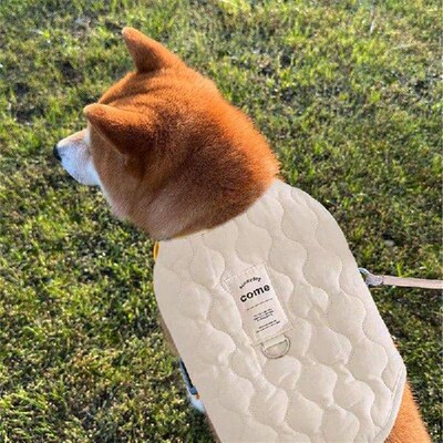 Dog Winter Coat Warm Dog Winter Clothes With Harness Hole