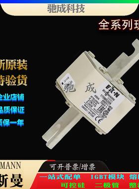 巴斯曼170M5209 170M5210 170M5211 厂家直供零售 快熔保险丝