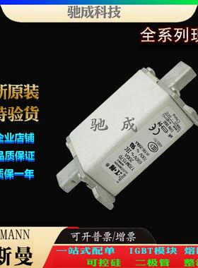 巴斯曼170M1570 170M1563 170M1508 原装进口价优 原装熔断器