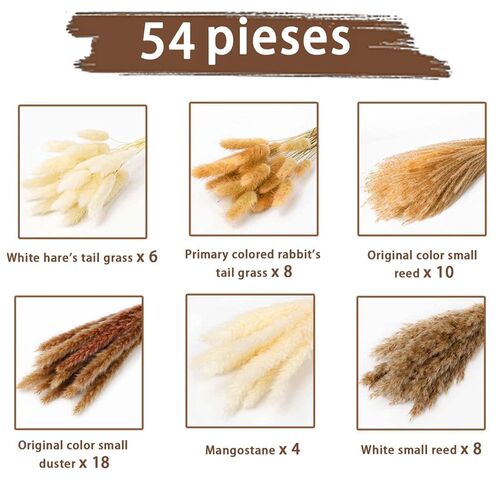 Dried Pampa Natural Decoratio Pampas Grass White Bed