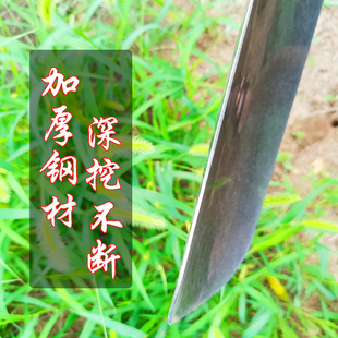 农用深挖锹挖坑窄沟工具树坑挖苗锹铁锨锰钢挖笋铲子山药锹挖藕锹