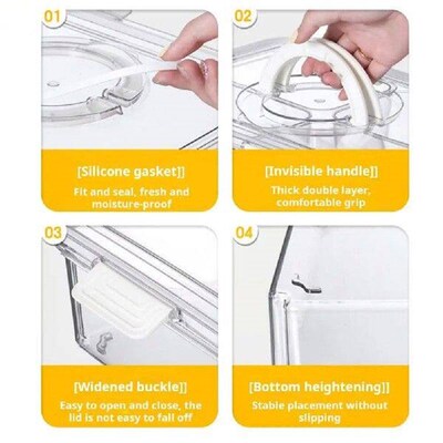 Travel Snack Box Fruit Container Capacity Fruit Storage