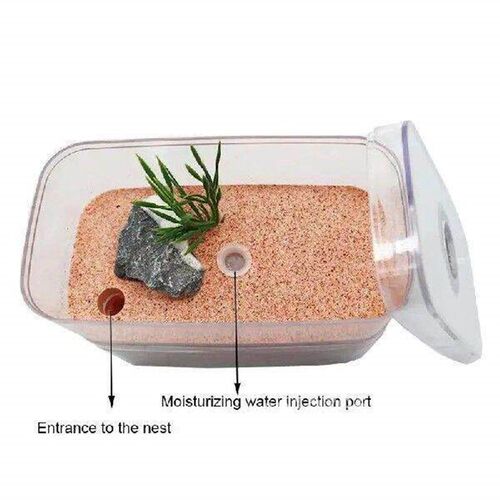 Highly Moisturizing Ant Farm Plaster Ant Nest Insect Box