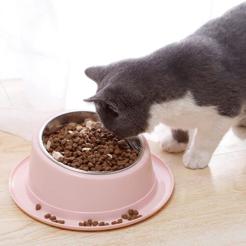 Cat Feeder Slope Anti-Ant Food Bowl For Cat Pet Accessories