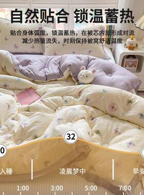 子新款冬被高重加保暖被冬季厚新品抗寒克锁温加厚被芯春ycqzzsdj