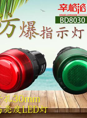 BD8030防爆信号灯开孔220V380V24V36V30mmLED灌封胶红绿色指示灯