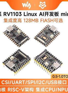 幸狐RV1103微型Linux开发板 Luckfox Pico Mini RISC-V 128MB内存