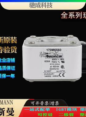 巴斯曼170M6519 170M6520 170M6521 长期销售价优 伊顿熔断器