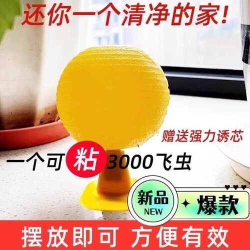 Fruit Fly Traps Small Insect Killer for Indoor Use, Mosquito