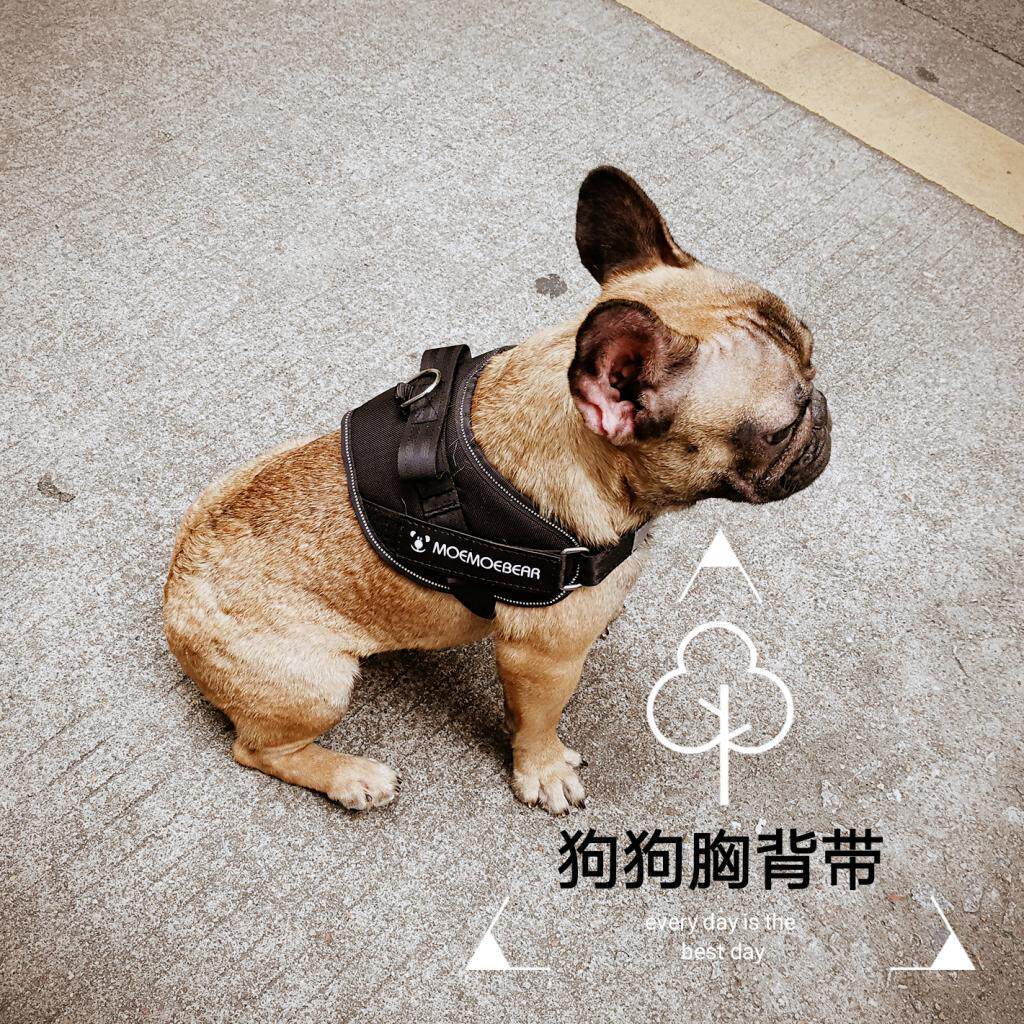 不勒脖子狗狗胸背带宠物牵引绳狗链子法斗巴哥狗绳项圈防爆冲背带