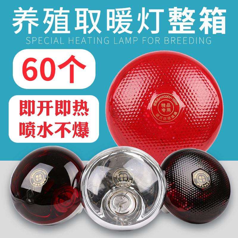 猪用保温灯保温灯泡畜牧取暖灯宠物养殖保暖灯母猪产床保温箱配件
