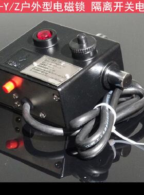DSW4-Z(Y)户外电磁锁DSW1-II SW4-Y/Z J-D-Y-D 户外电磁锁 接地电